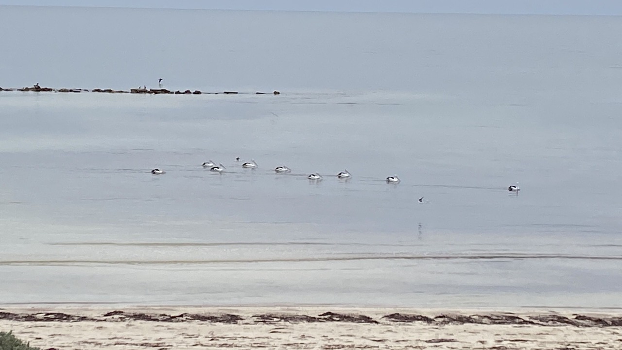 Photo of Others in Minlacowie