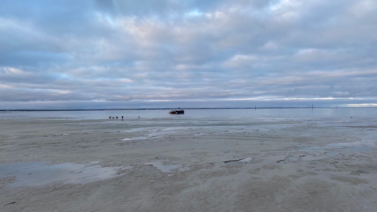 Photo of Others in Minlacowie