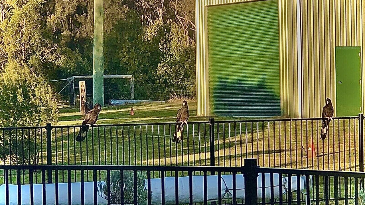 Photo of Others in Lochinvar