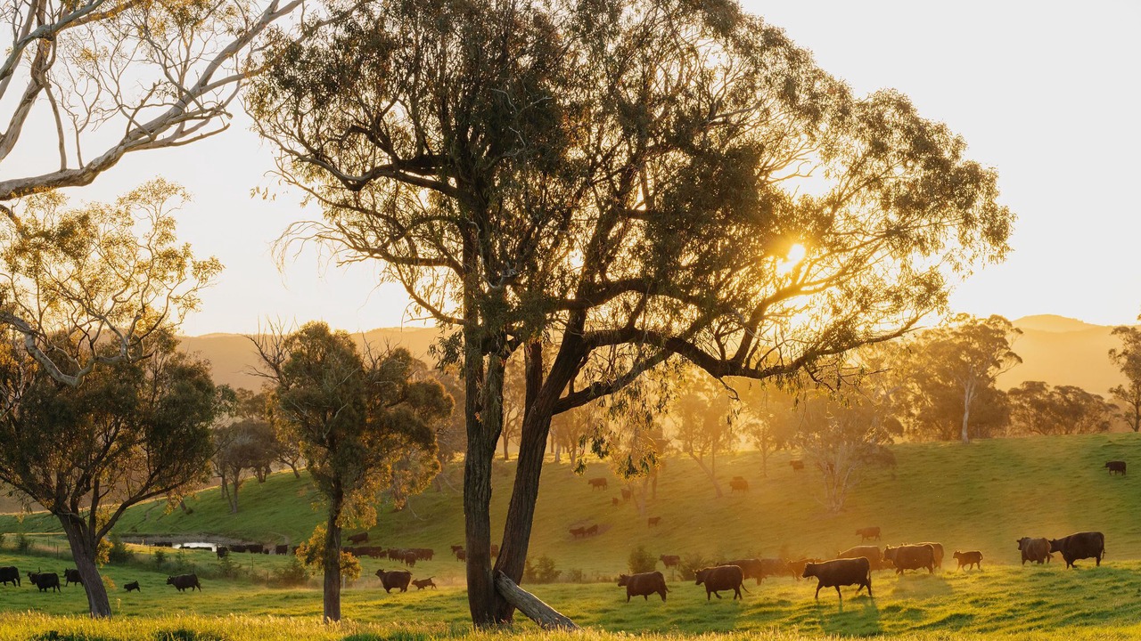 Photo of Outdoor in Chatsbury