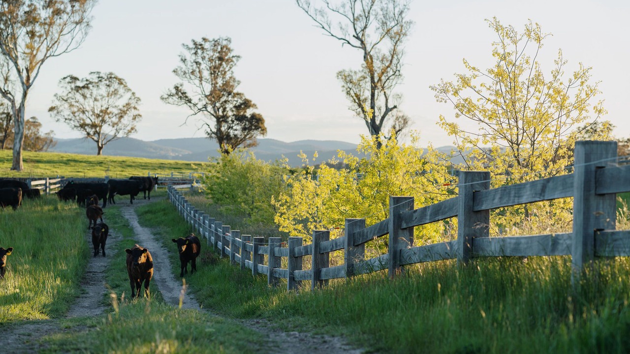 Photo of Outdoor in Chatsbury