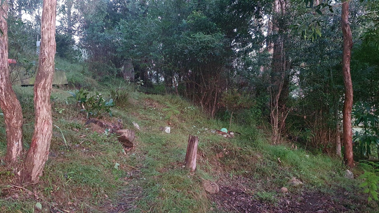 Photo of Outdoor in Paterson