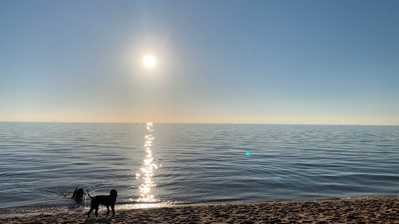 Photo of Others in Mount Martha