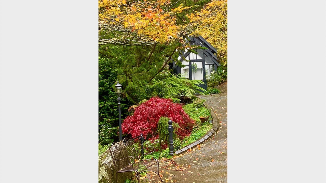Photo of Outdoor in Kallista