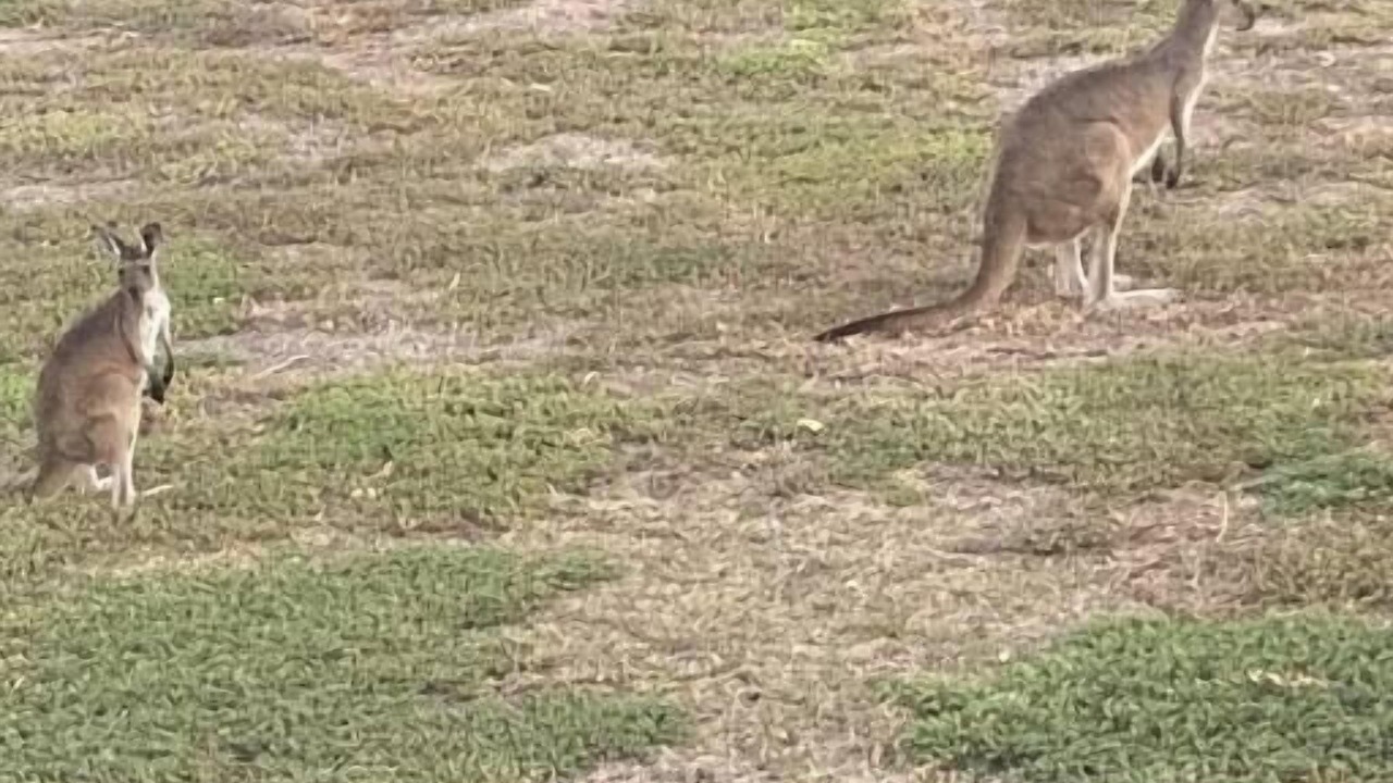 Photo of Outdoor in Aldinga Beach