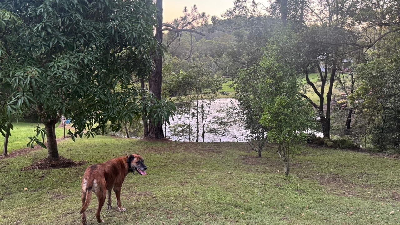 Photo of Outdoor in Chevallum