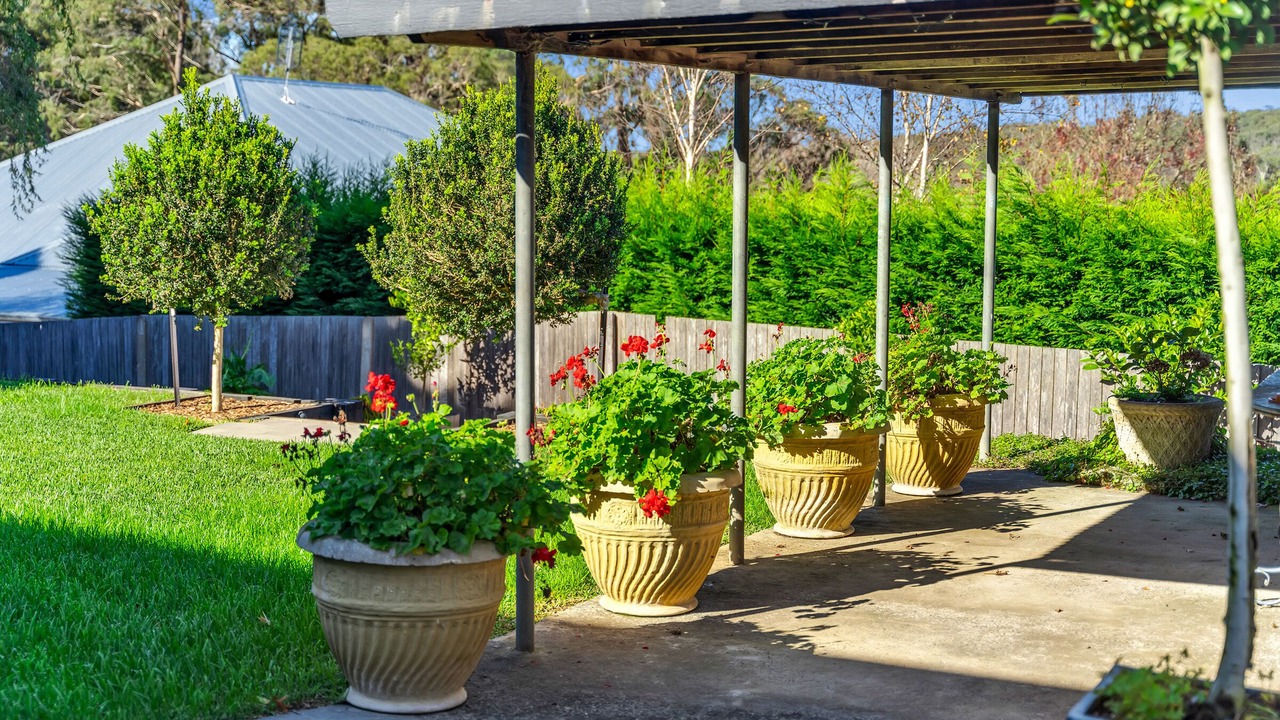 Photo of Outdoor in Berrima