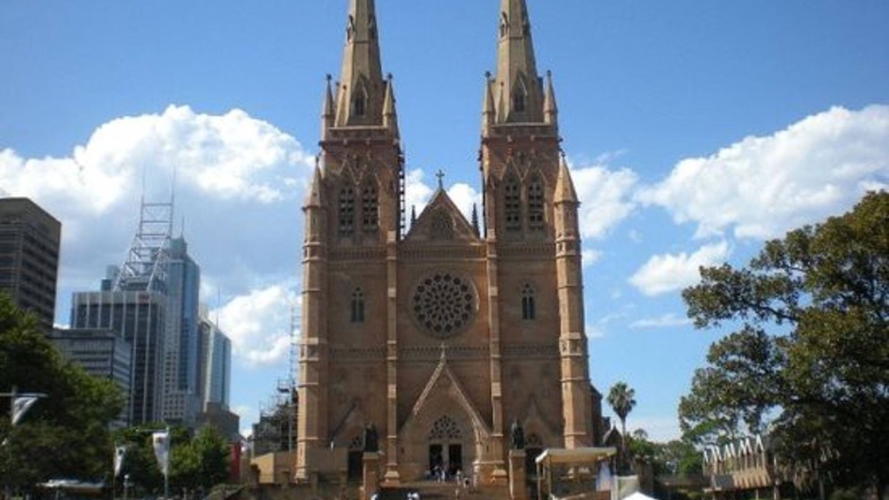 Photo of Others in Elizabeth Bay