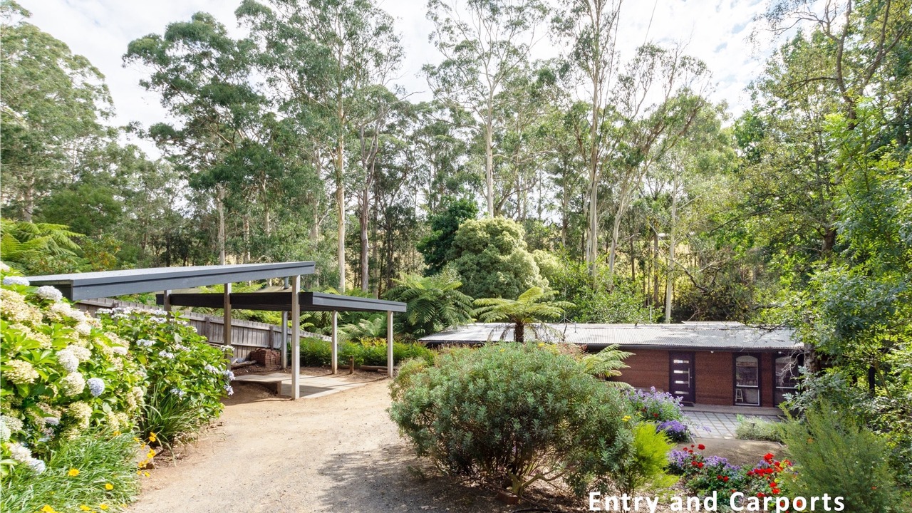 Photo of Outdoor in Cockatoo