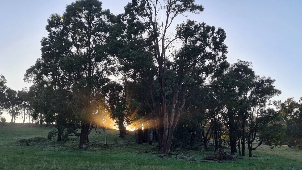 Photo of Outdoor in Williams