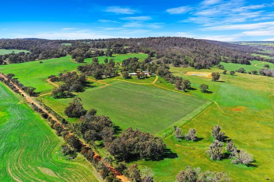 Photo of Outdoor in Williams