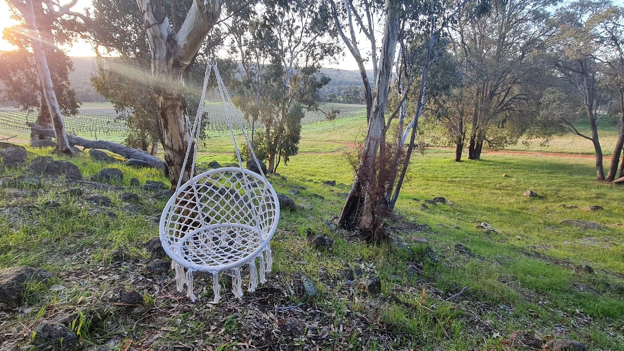 Photo of Outdoor in Williams
