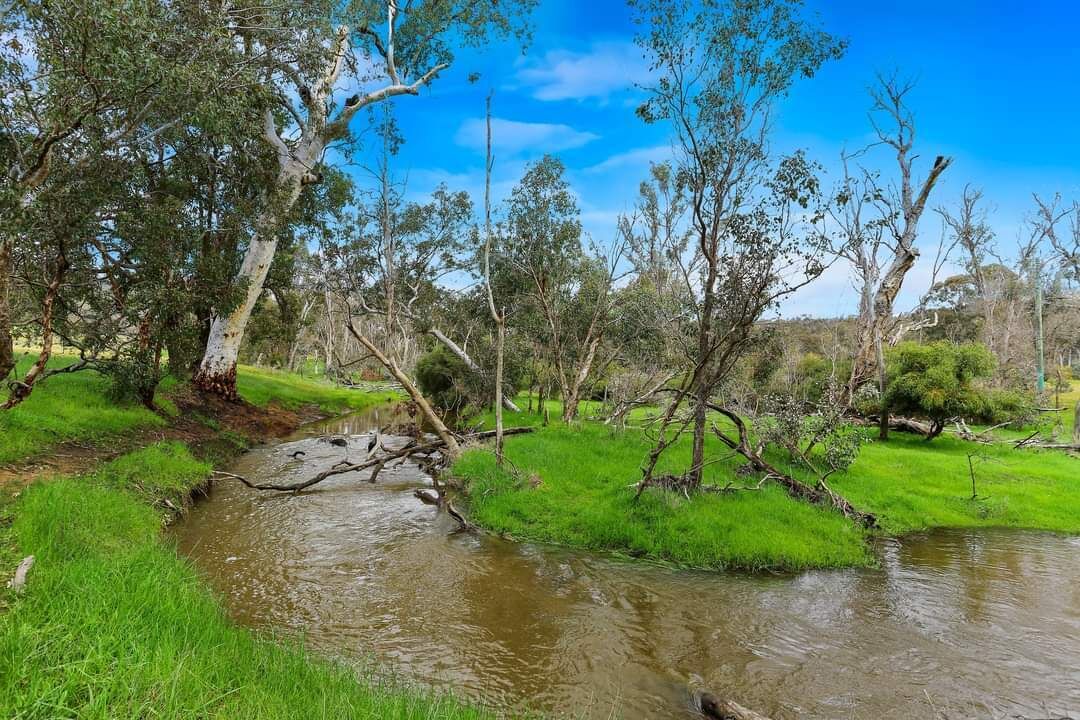 Photo of Outdoor in Williams