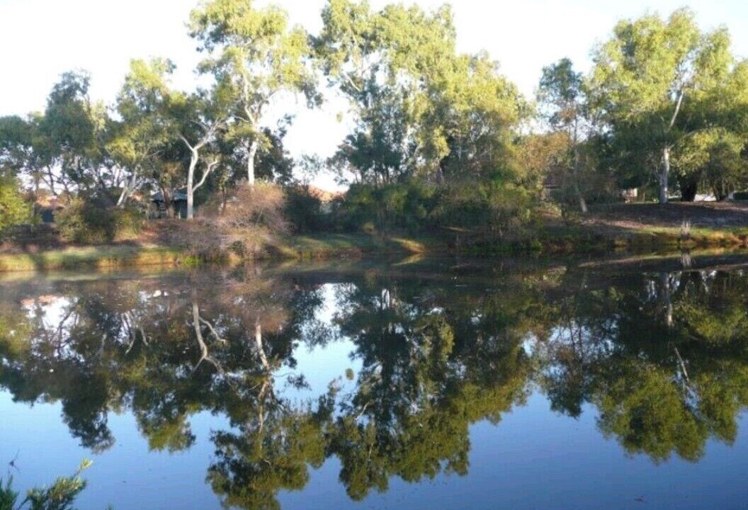 Photo of Others in Willetton