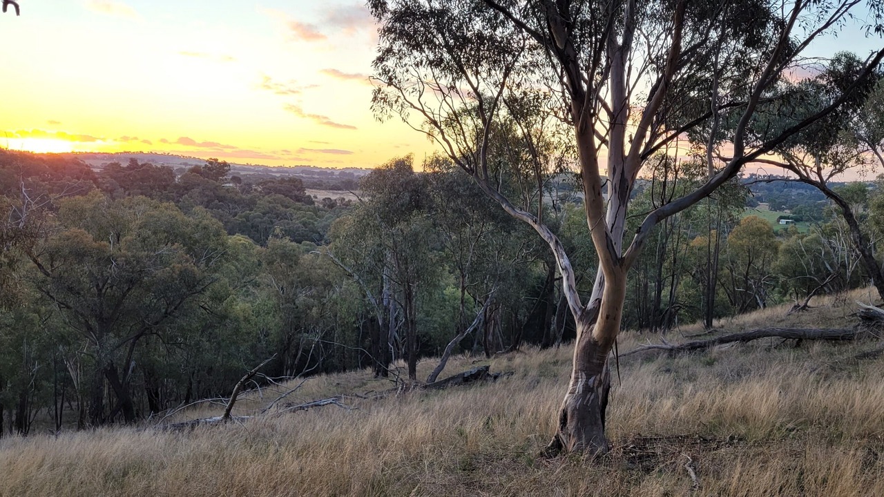 Photo of Others in Cootamundra