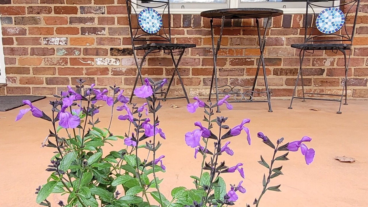 Photo of Patio Balcony in Cootamundra
