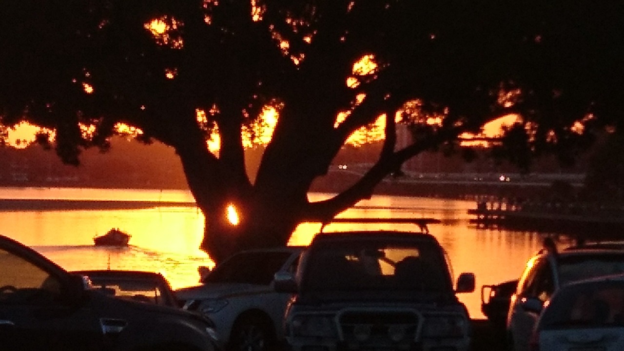 Photo of Others in Wallis Lake