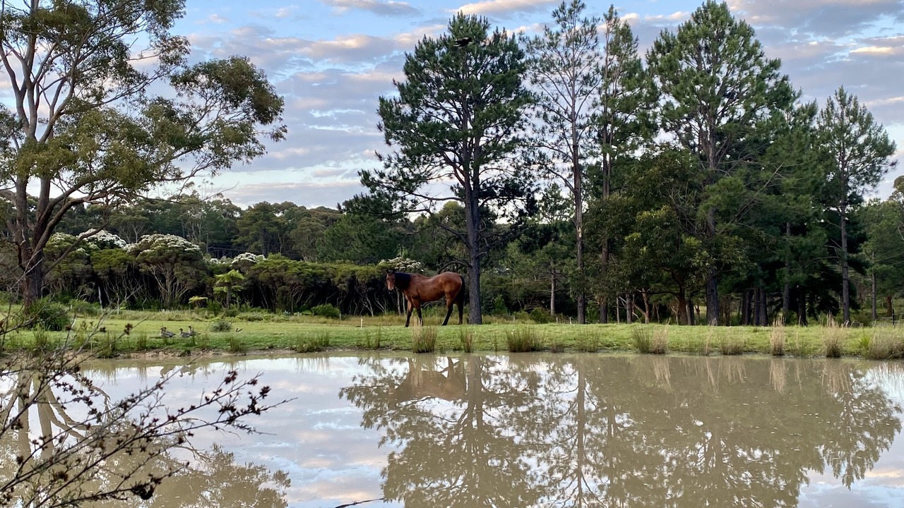 Photo of Others in Burrill Lake
