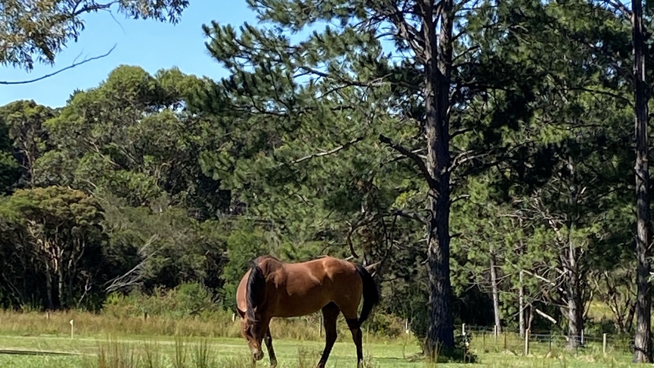 Photo of Others in Burrill Lake