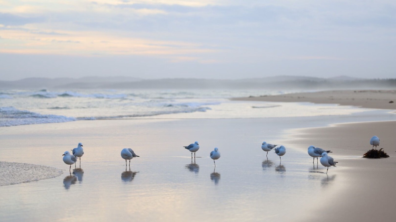 Photo of Others in Burrill Lake