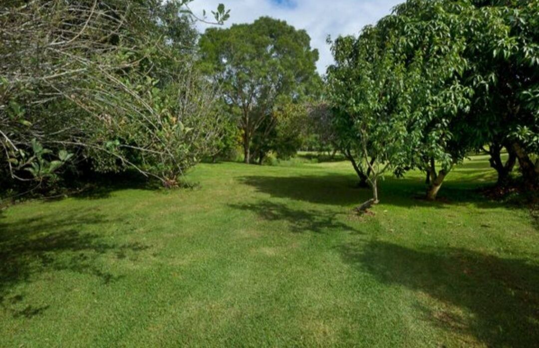 Photo of Outdoor in Forster