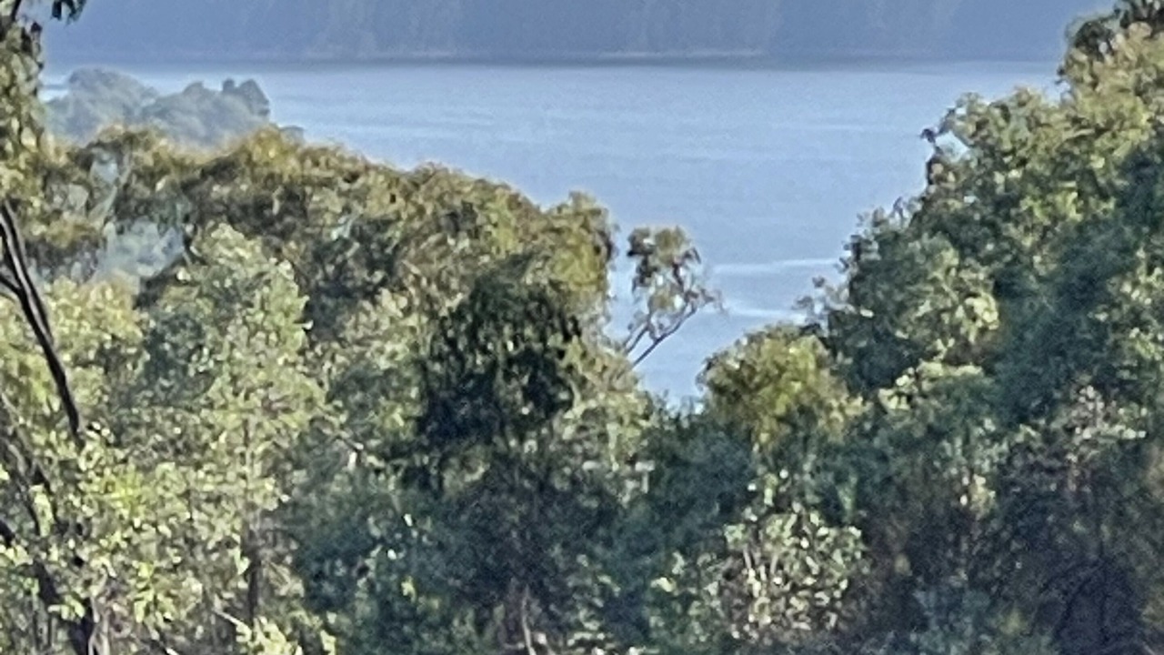 Photo of Others in Murrindindi Shire
