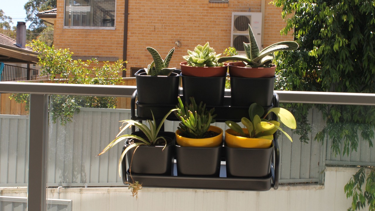 Photo of Outdoor in Lane Cove West