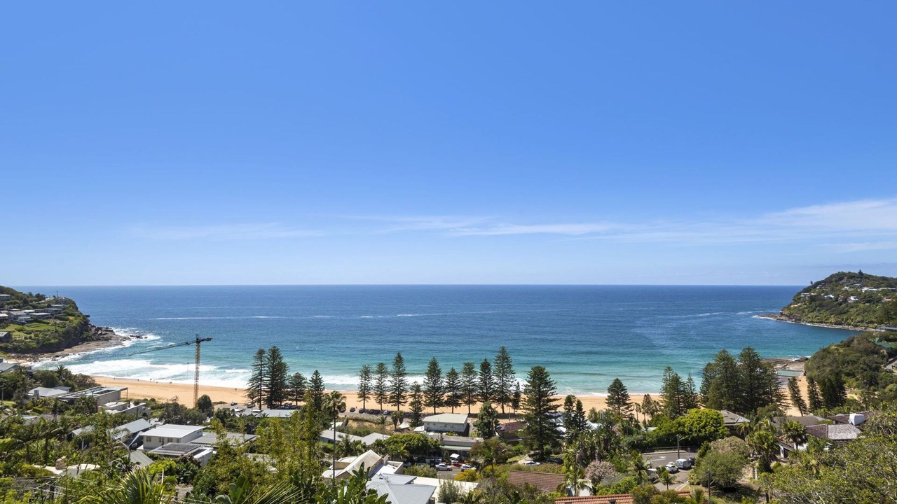 Photo of Others in Whale Beach