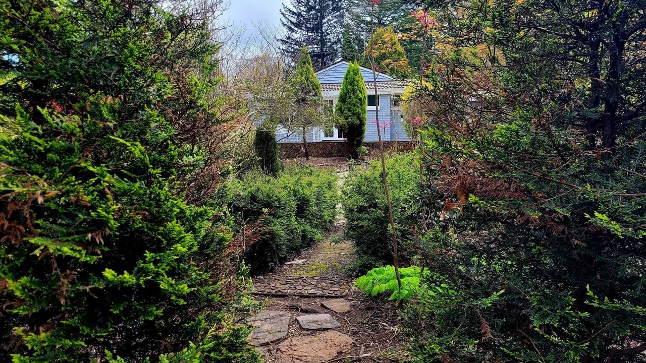 Photo of Outdoor in Leura