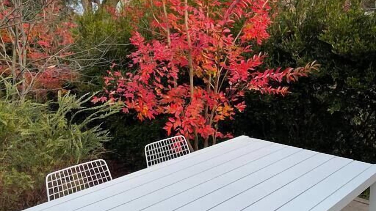 Photo of Outdoor in Leura