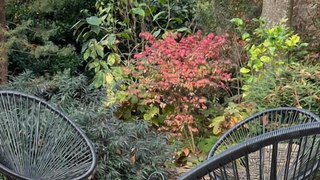 Photo of Outdoor in Leura