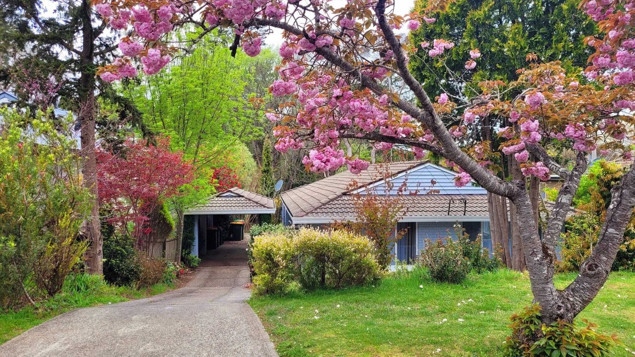 Photo of Outdoor in Leura