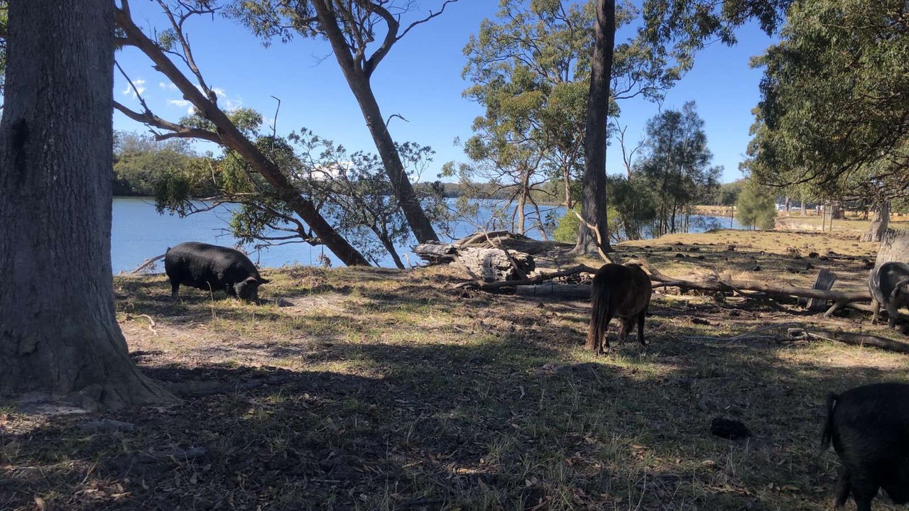 Photo of Outdoor in Blackmans Point