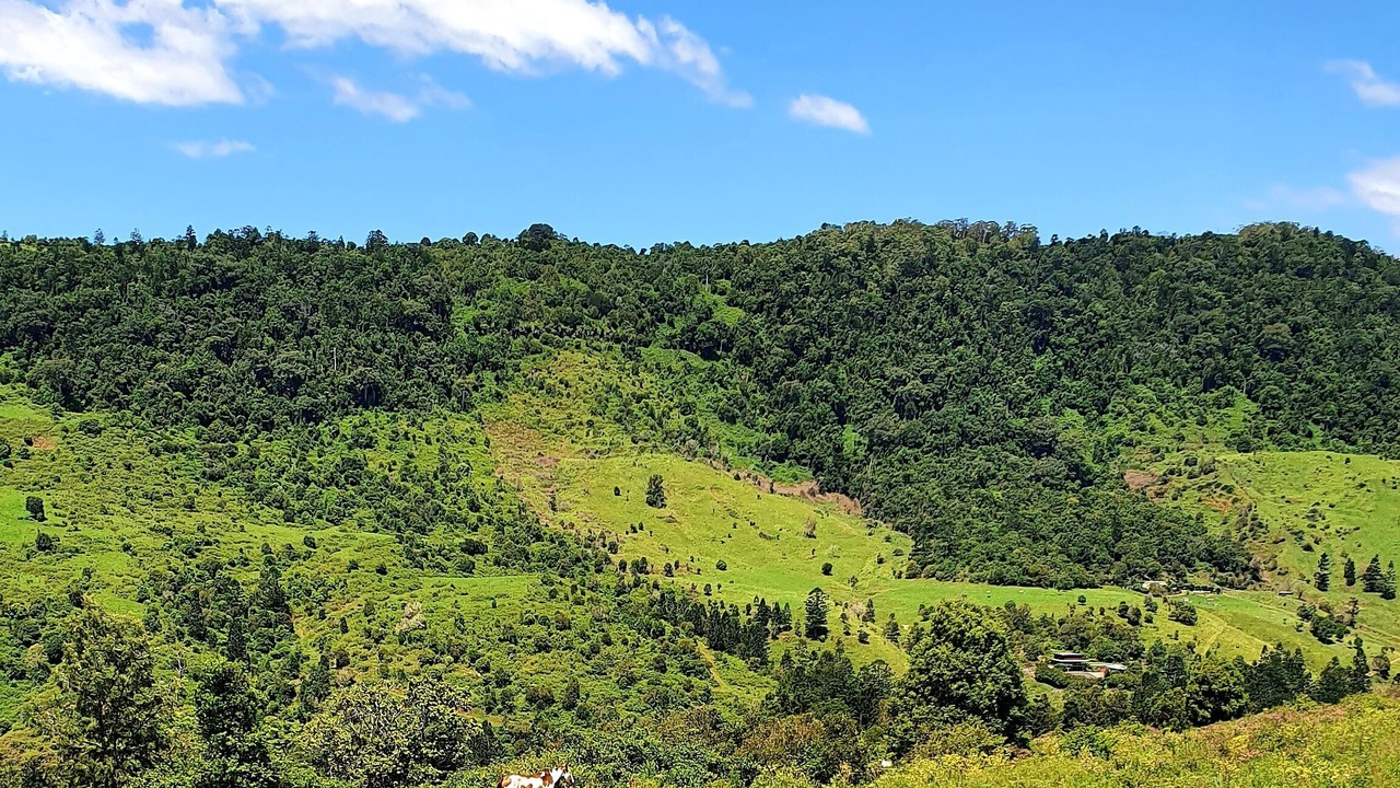 Photo of Outdoor in Illinbah