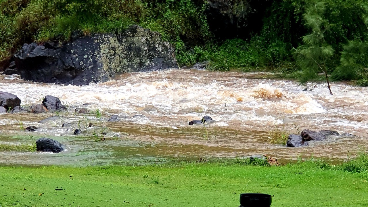 Photo of Outdoor in Illinbah