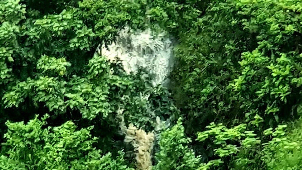Photo of Outdoor in Illinbah