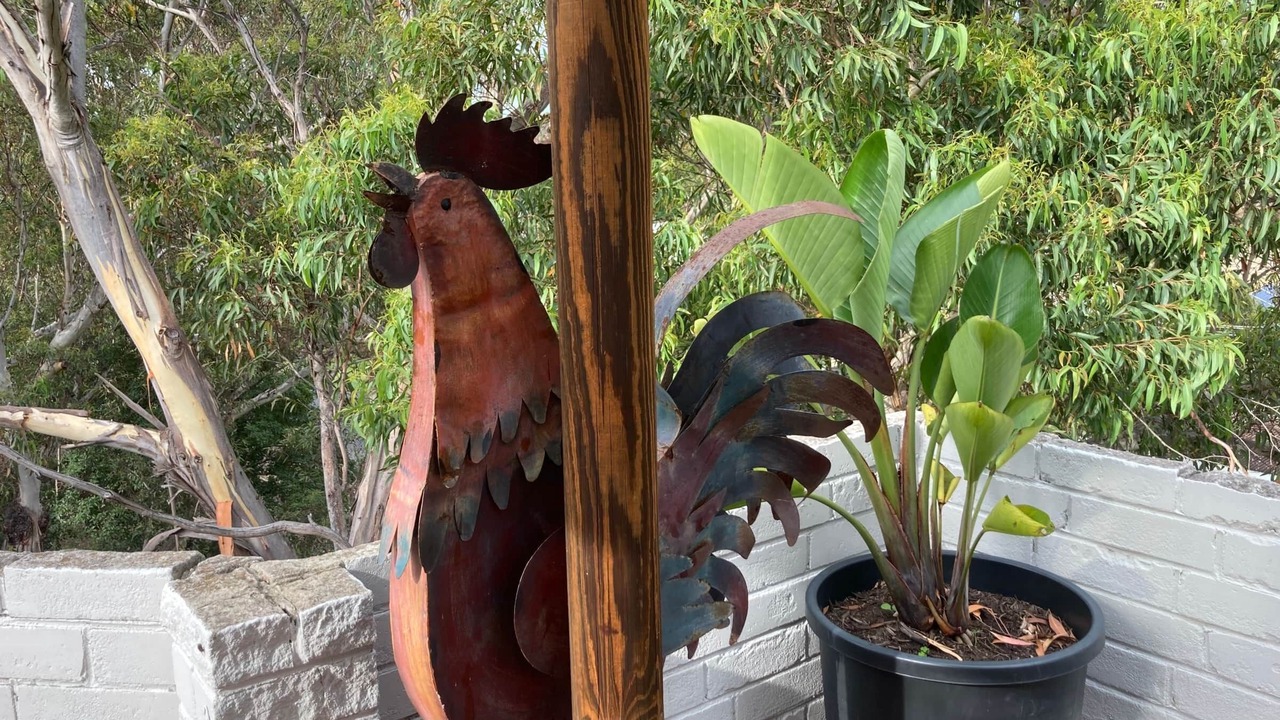 Photo of Others in Hawks Nest