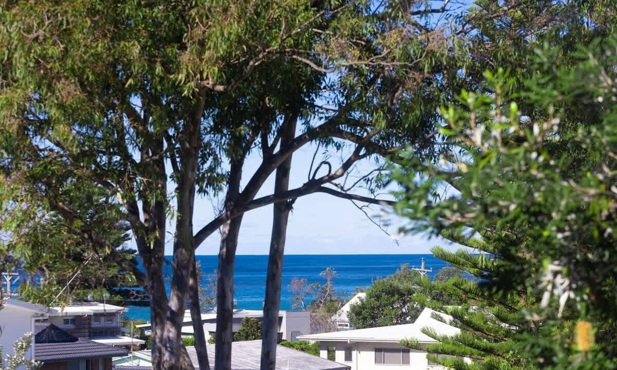 Photo of Others in Mollymook Beach