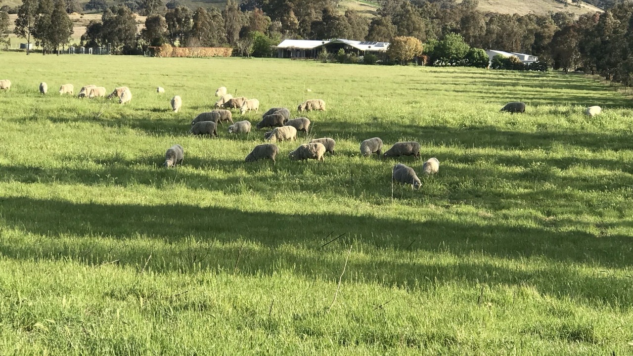 Photo of Others in Apple Tree Flat