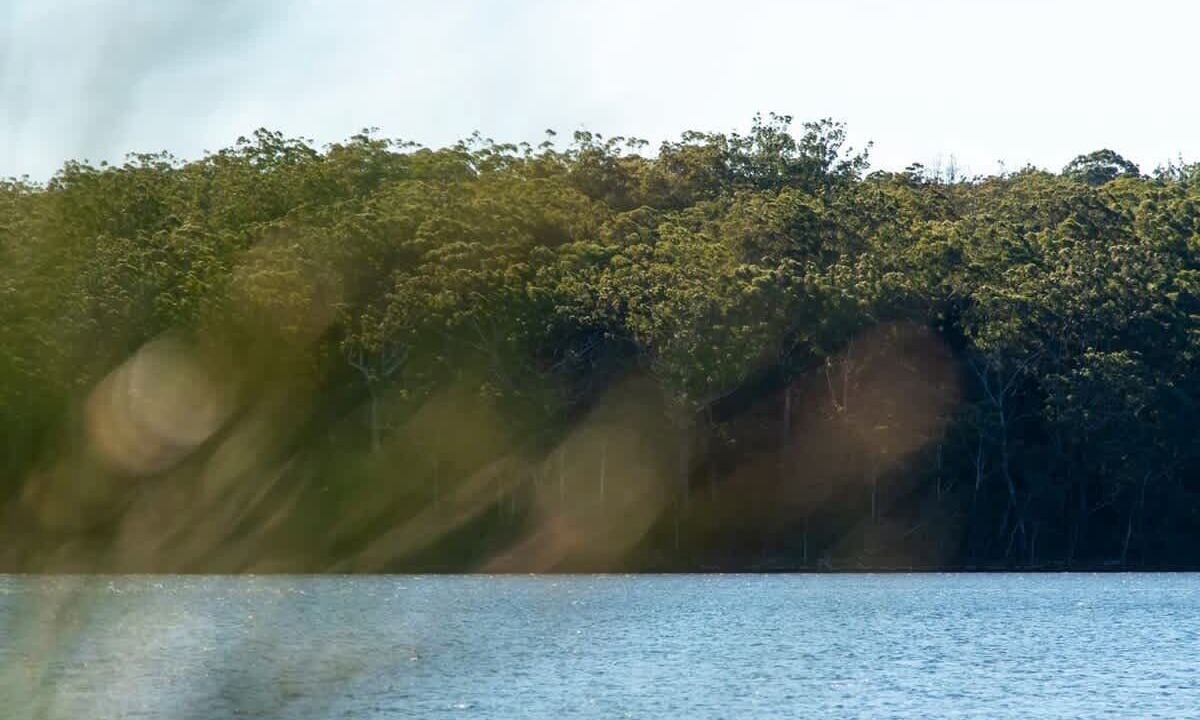 Photo of Others in Kings Point