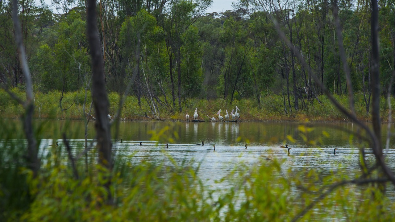 Photo of Others in Morgan