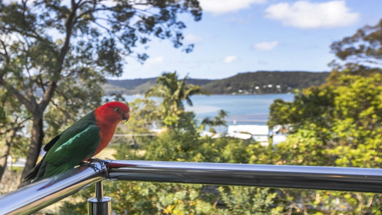 Photo of Patio Balcony in Wagstaffe