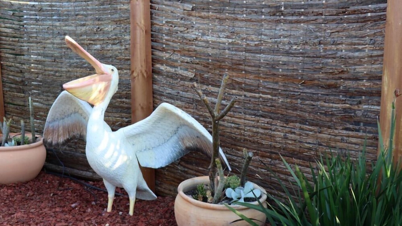 Photo of Outdoor in Barmera