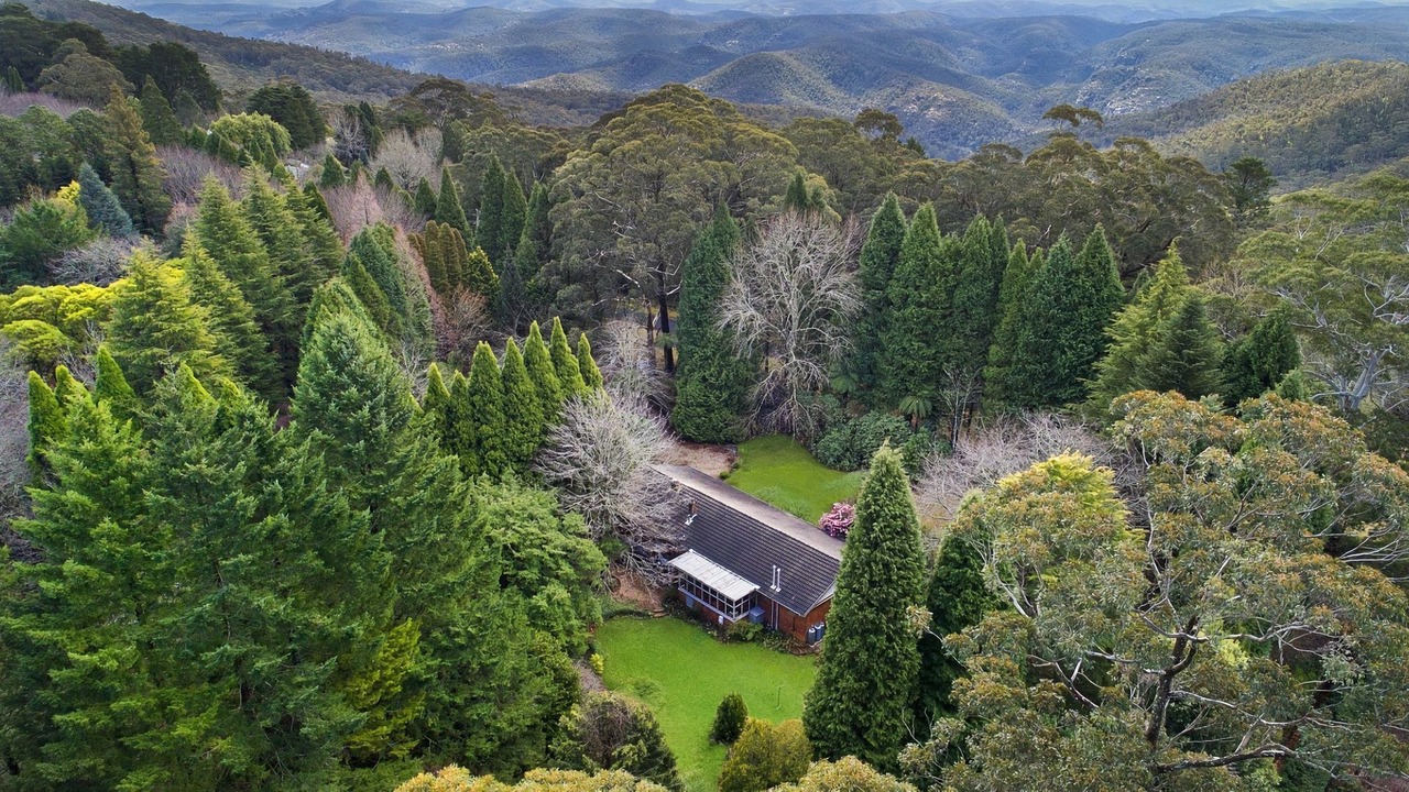 Photo of Outdoor in Mount Wilson