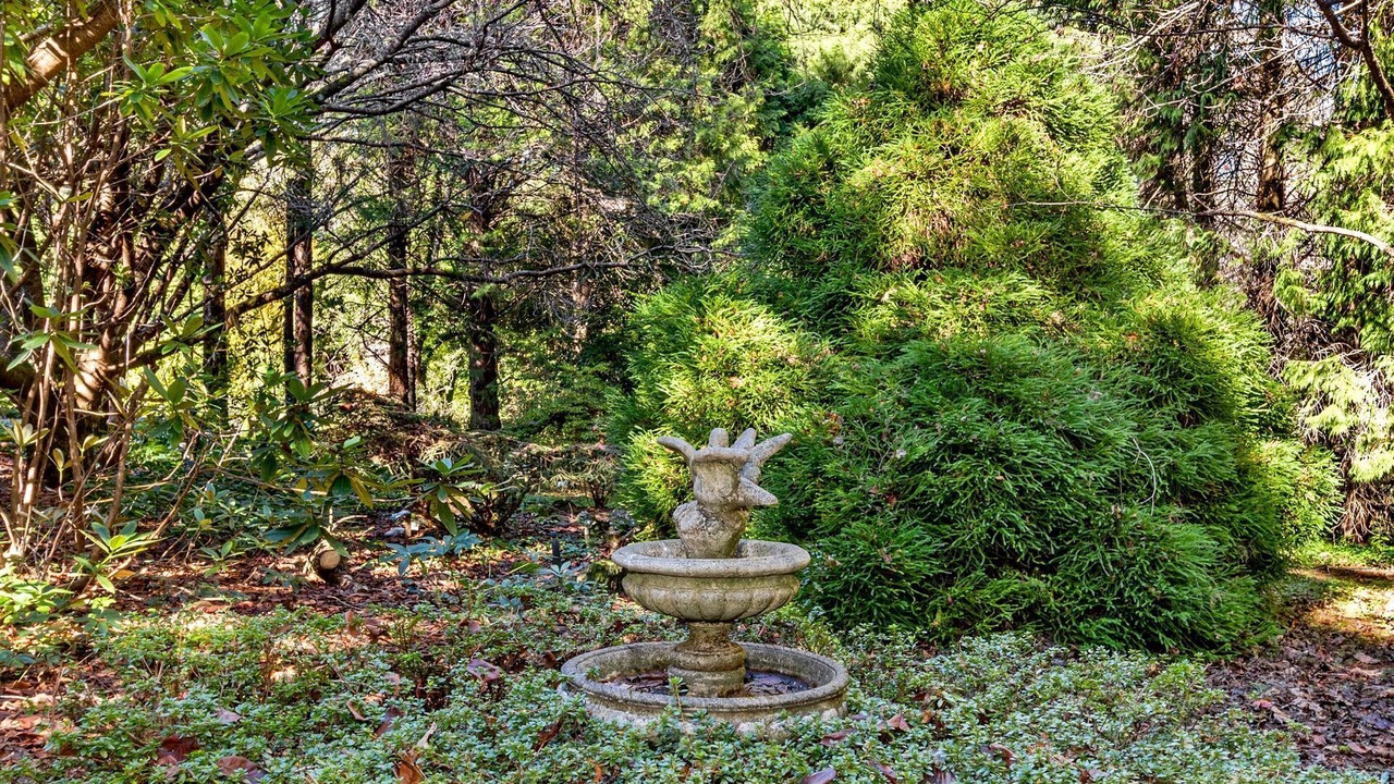 Photo of Outdoor in Mount Wilson