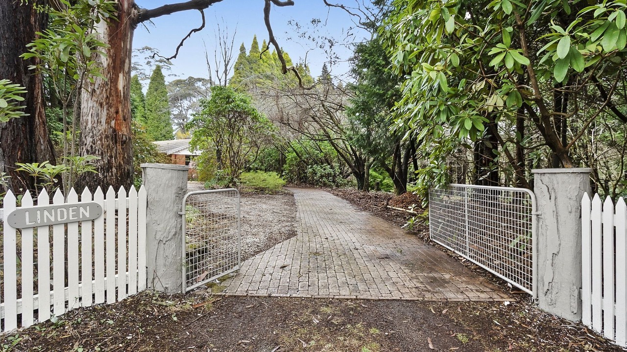 Photo of Outdoor in Mount Wilson