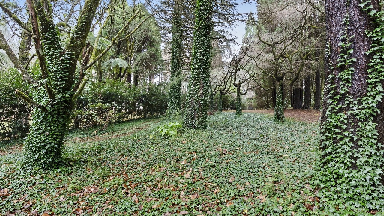 Photo of Outdoor in Mount Wilson