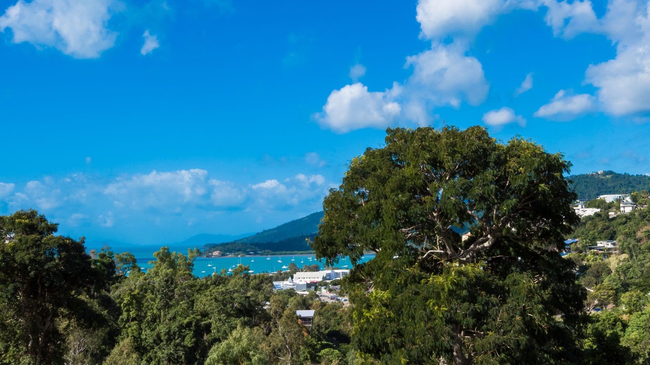 Photo of Others in Airlie Beach