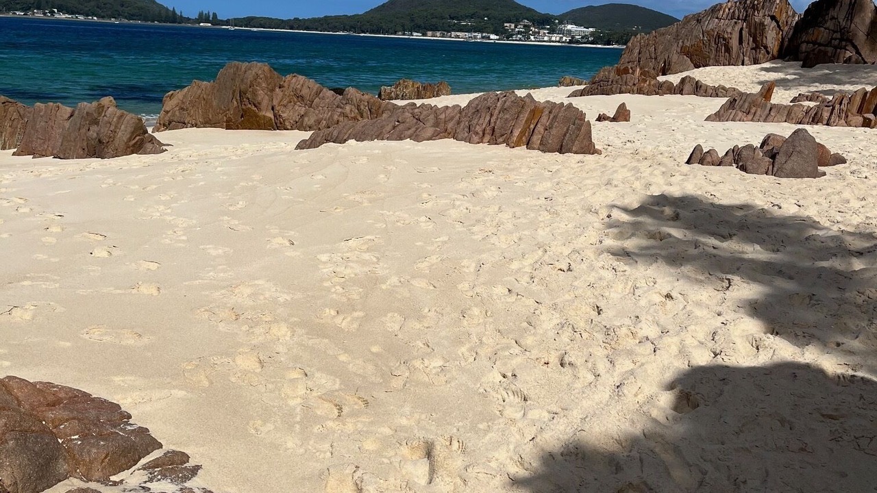 Photo of Others in Port Stephens Council