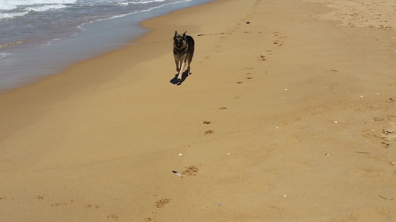 Photo of Others in Golden Beach